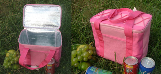 Food cooler bag